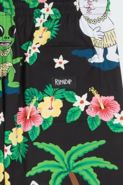 Aloha Nerm - Short de bain | Noir