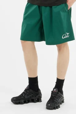 Birds Logo Shorts - Short | Vert