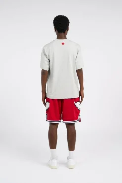 BULLDOG - T-shirt | Gris