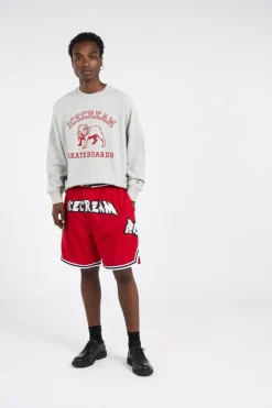 BULLDOG CRNECK HEATHER - Sweatshirt | Gris