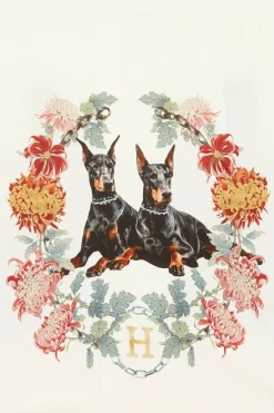 CHEMISE BEST BOYS SS - Chemise | Blanc