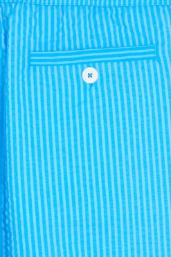CLASSIC SEERSCUKER - Short de bain | Bleu