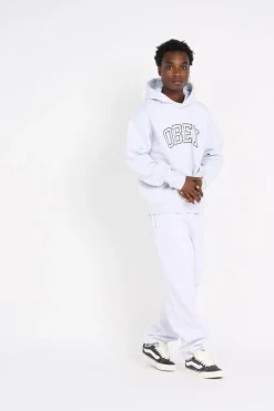 COLLEGIATE EXTRA - Hoodie | Gris