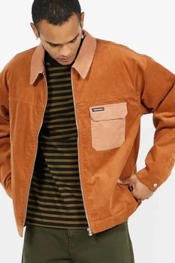 CORDUROY PADD - Veste | Marron