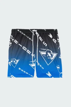 DESTINATION L - Short | Bleu