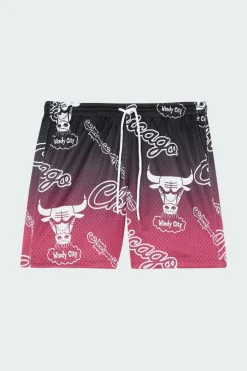 DESTINATION L - Short | Multicolore