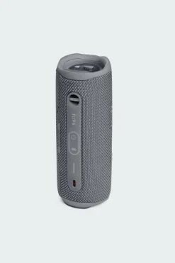 ENCEINTE BLUETOOTH FLIP 6 - Enceinte | Gris