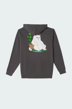 Flower Boy Hoodie - Sweat | Gris