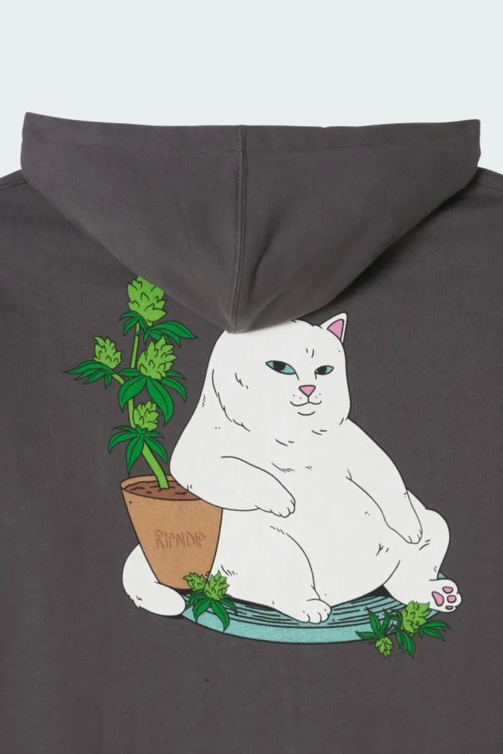 Flower Boy Hoodie - Sweat | Gris