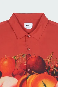 FRUIT BOWL WOVEN - Chemise | Orange