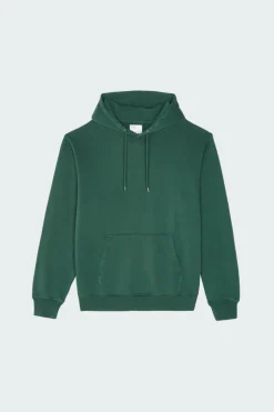 Hoodie | Vert
