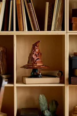 Le Choixpeau magique qui parle - Jeu | Multicolore