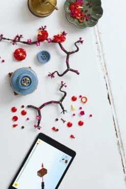 LES FLEURS DE PRUNIER - Jeu | Multicolore