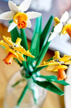 LES JONQUILLES - Jeu | Multicolore