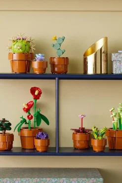 LES PLANTES MINIATURES - Jeu | Multicolore