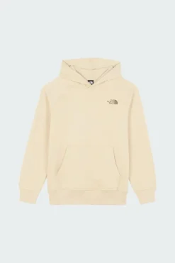 M RAGLAN BOX NSE REGULAR HOODIE - Hoodie | Gris