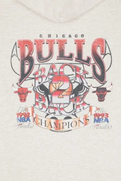 NBA EASY COOL GRAPHIC BULLS - Hoodie | Gris