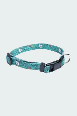 Nermal Leaf - Collier pour chien | Vert