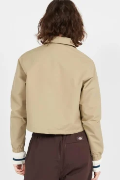 OAKPORT CROPP COACH - Veste | Kaki