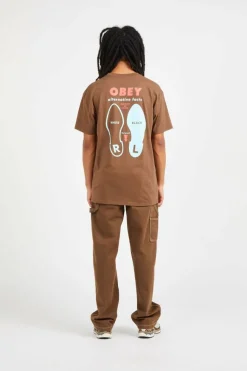 OBEY ALTERNATIVE FACTS - T-shirt | Marron