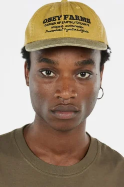 PIGMENT OBEY FARMS 6 PNL STRPB - Casquette | Jaune