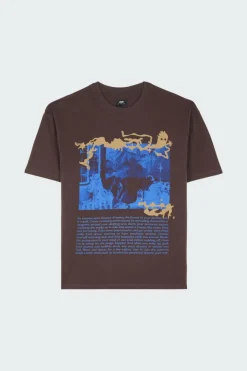 PROPHETIC DREAMS - T-shirt | Marron