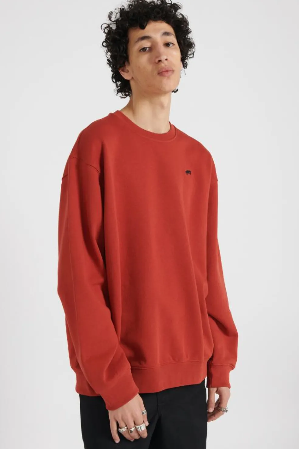 SALTON LOOSE FT CREW - Sweatshirt | Rouge