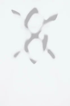 SHIELD FOCUS - T-shirt | Blanc