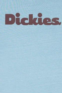 SLAYDEN GD TEE SS - T-shirt | Bleu