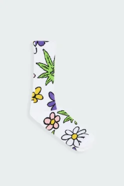 SOCKS GREEN BUDDY BLOSSOM - Chaussettes | Blanc