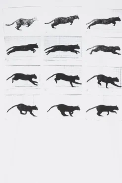 SPRINT LONG SLEEVE - T-shirt | Blanc