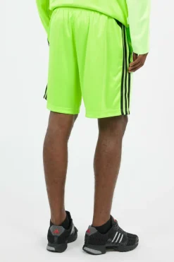 TEAMGEIST SHO - Short | Vert