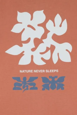 TEXTURE - T-shirt | Marron