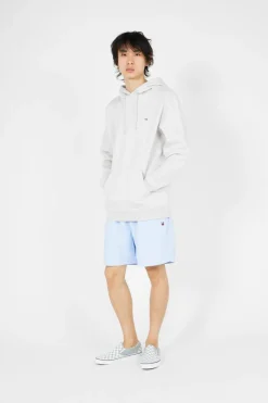 TJM REG S FLAG HOODI - Hoodie | Gris