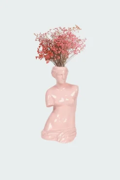 Venus - Vase | Rose