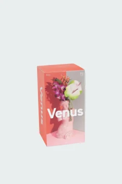 Venus - Vase | Rose