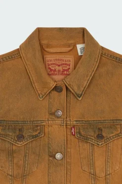 XS VEST W/ WAISTBAND - Veste | Marron